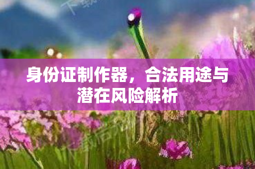 身份证制作器，合法用途与潜在风险解析