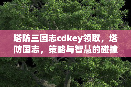 塔防三国志cdkey领取,塔防国志,策略与智慧的碰撞 塔防三国志cdkey领取,塔防国志,策略与智慧的碰撞