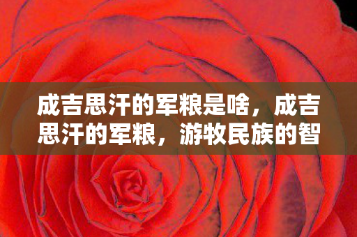 成吉思汗的军粮是啥,成吉思汗的军粮,游牧民族的智慧与战略 成吉思汗的军粮是啥,成吉思汗的军粮,游牧民族的智慧与战略