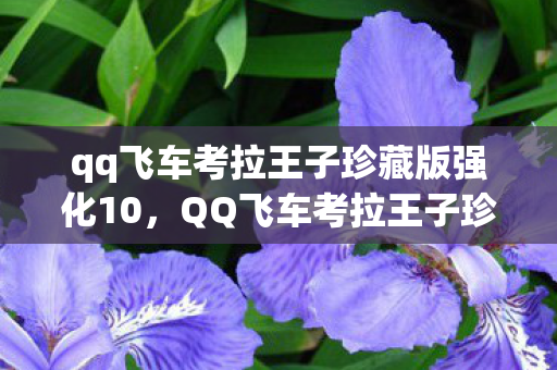 qq飞车考拉王子珍藏版强化10,QQ飞车考拉王子珍藏版,速度与激情的梦幻联动 qq飞车考拉王子珍藏版强化10,QQ飞车考拉王子珍藏版,速度与激情的梦幻联动