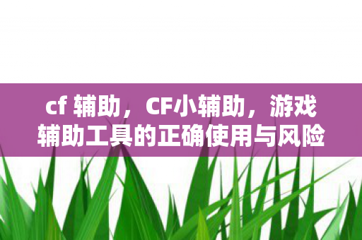cf 辅助，CF小辅助，游戏辅助工具的正确使用与风险规避