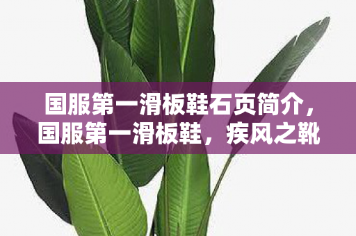 国服第一滑板鞋石页简介，国服第一滑板鞋，疾风之靴的传奇之旅