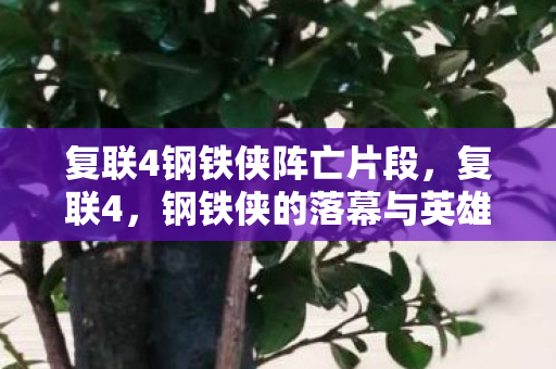 复联4钢铁侠阵亡片段，复联4，钢铁侠的落幕与英雄的传承