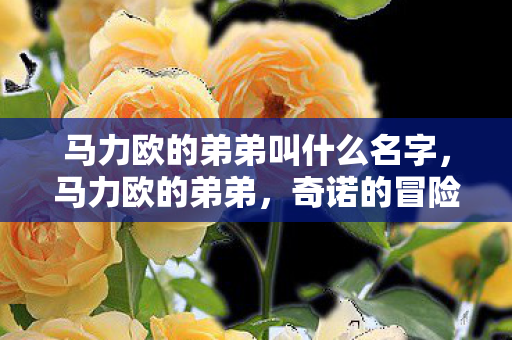 马力欧的弟弟叫什么名字图片