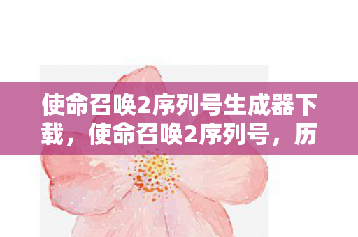 使命召唤2序列号生成器下载图片