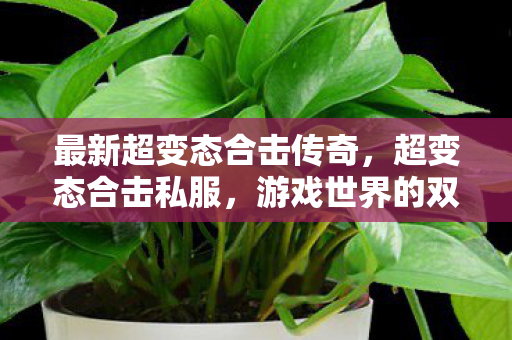 最新超变态合击传奇图片