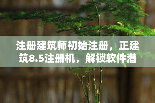 解锁软件潜能的便捷工具图片