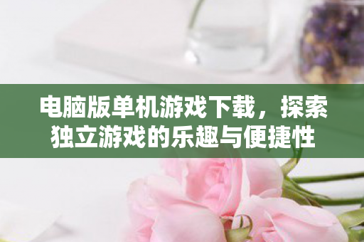 电脑版单机游戏下载，探索独立游戏的乐趣与便捷性