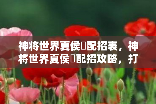 神将世界夏侯惇配招表,神将世界夏侯惇配招攻略,打造最强战将 神将世界夏侯惇配招表,神将世界夏侯惇配招攻略,打造最强战将