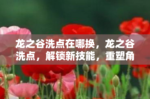 龙之谷洗点在哪换，龙之谷洗点，解锁新技能，重塑角色力量