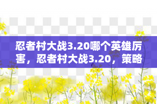 忍者村大战3.20哪个英雄厉害，忍者村大战3.20，策略与技巧的完美融合