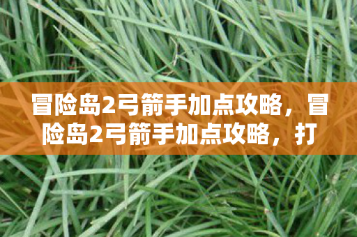 冒险岛2弓箭手加点攻略，冒险岛2弓箭手加点攻略，打造最强射手