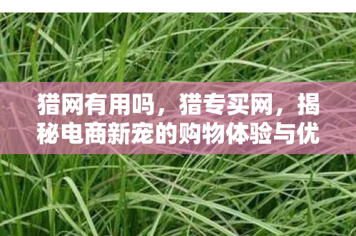 猎网有用吗，猎专买网，揭秘电商新宠的购物体验与优势