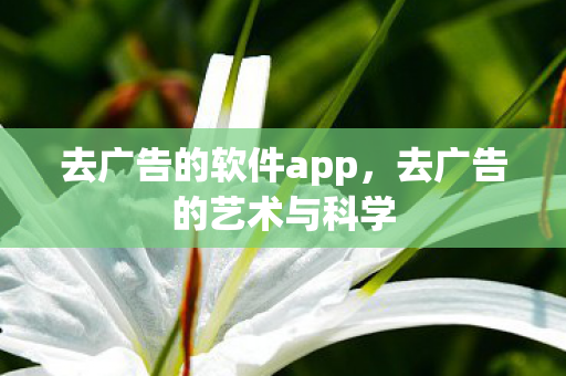 去广告的软件app,去广告的艺术与科学 去广告的软件app,去广告的艺术与科学