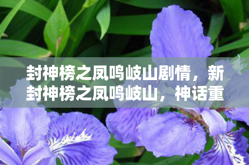 封神榜之凤鸣岐山剧情,新封神榜之凤鸣岐山,神话重生的奇幻之旅 封神榜之凤鸣岐山剧情,新封神榜之凤鸣岐山,神话重生的奇幻之旅