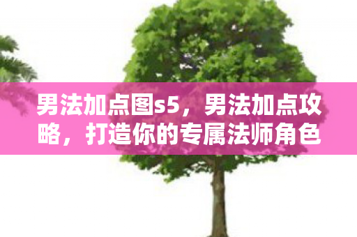 男法加点图s5，男法加点攻略，打造你的专属法师角色