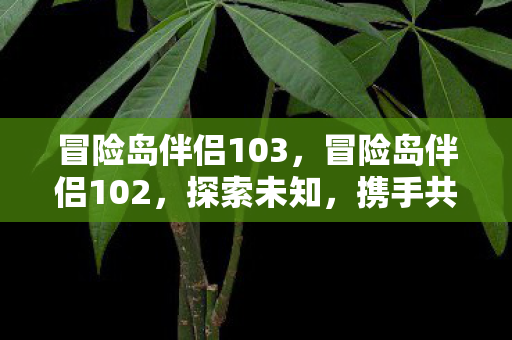 冒险岛伴侣103,冒险岛伴侣102,探索未知,携手共进的旅程 冒险岛伴侣103,冒险岛伴侣102,探索未知,携手共进的旅程