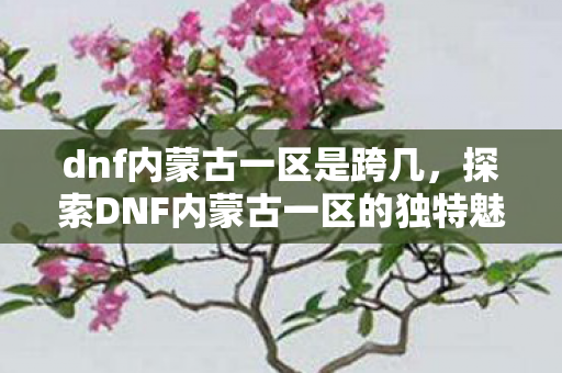 dnf内蒙古一区是跨几,探索DNF内蒙古一区的独特魅力与玩家文化 dnf内蒙古一区是跨几,探索DNF内蒙古一区的独特魅力与玩家文化