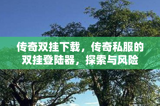 传奇双挂下载,传奇私服的双挂登陆器,探索与风险 传奇双挂下载,传奇私服的双挂登陆器,探索与风险
