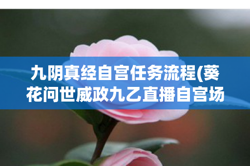 九阴真经自宫任务流程(葵花问世威政九乙直播自宫场景)，九阴真经自宫任务流程详解
