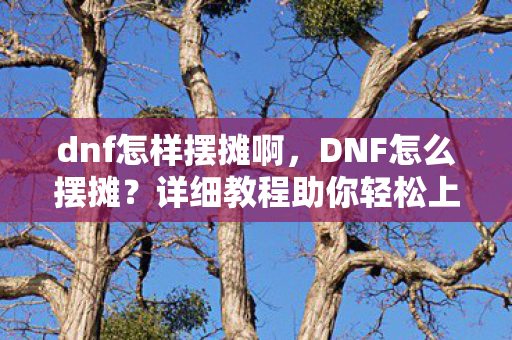 dnf怎样摆摊啊，DNF怎么摆摊？详细教程助你轻松上手