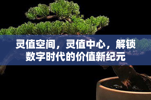 灵值空间,灵值中心,解锁数字时代的价值新纪元 灵值空间,灵值中心,解锁数字时代的价值新纪元