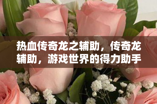 热血传奇龙之辅助,传奇龙辅助,游戏世界的得力助手 热血传奇龙之辅助,传奇龙辅助,游戏世界的得力助手