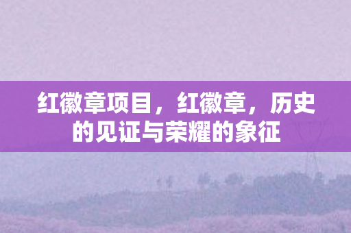 红徽章项目,红徽章,历史的见证与荣耀的象征 红徽章项目,红徽章,历史的见证与荣耀的象征