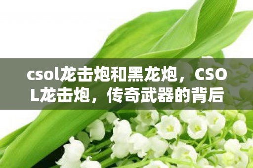 csol龙击炮和黑龙炮，CSOL龙击炮，传奇武器的背后故事与实战应用解析