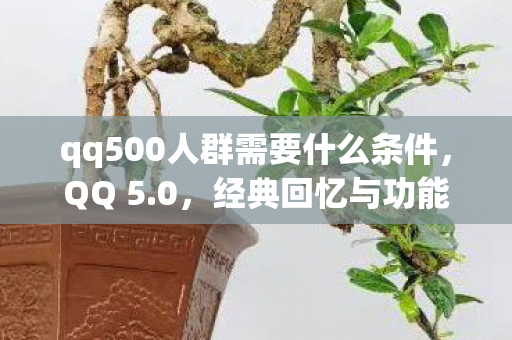 qq500人群需要什么条件，QQ 5.0，经典回忆与功能变迁