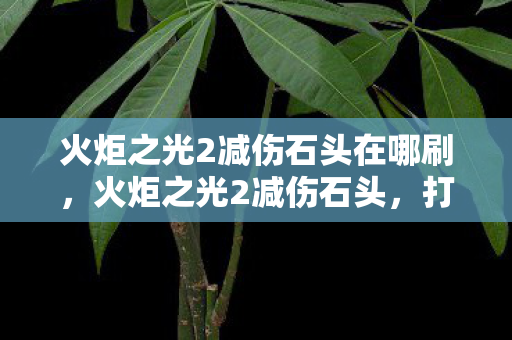 火炬之光2减伤石头在哪刷，火炬之光2减伤石头，打造坚不可摧的防御