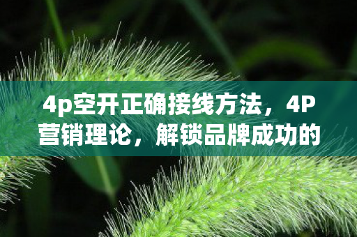 4p空开正确接线方法，4P营销理论，解锁品牌成功的关键