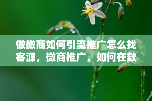 做微商如何引流推广怎么找客源，微商推广，如何在数字时代打造个人品牌
