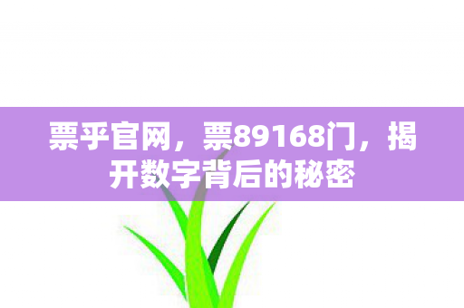 票乎官网，票89168门，揭开数字背后的秘密