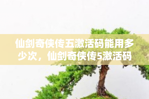 仙剑奇侠传五激活码能用多少次,仙剑奇侠传5激活码使用次数详解 仙剑奇侠传五激活码能用多少次,仙剑奇侠传5激活码使用次数详解