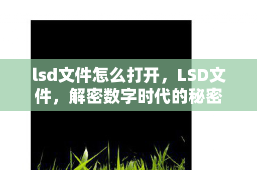 lsd文件怎么打开,LSD文件,解密数字时代的秘密 lsd文件怎么打开,LSD文件,解密数字时代的秘密
