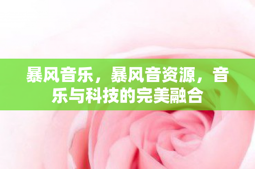 暴风音乐，暴风音资源，音乐与科技的完美融合