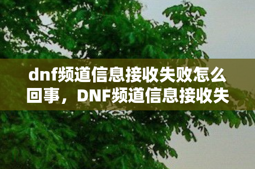 dnf频道信息接收失败怎么回事，DNF频道信息接收失败，如何快速解决与避免未来困扰