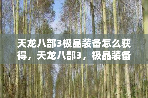 天龙八部3极品装备怎么获得，天龙八部3，极品装备全解析