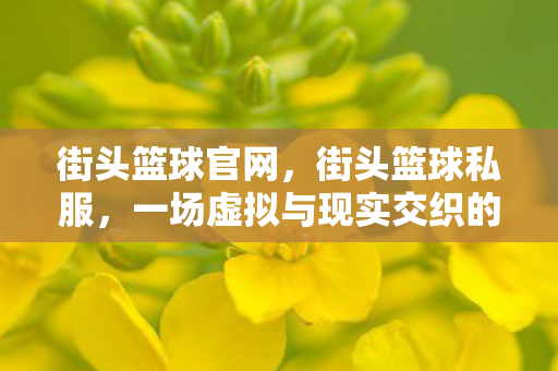 街头篮球官网，街头篮球私服，一场虚拟与现实交织的篮球盛宴