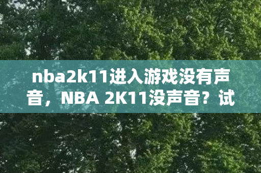 nba2k11进入游戏没有声音,NBA 2K11没声音?试试这些解决方案! nba2k11进入游戏没有声音,NBA 2K11没声音?试试这些解决方案!