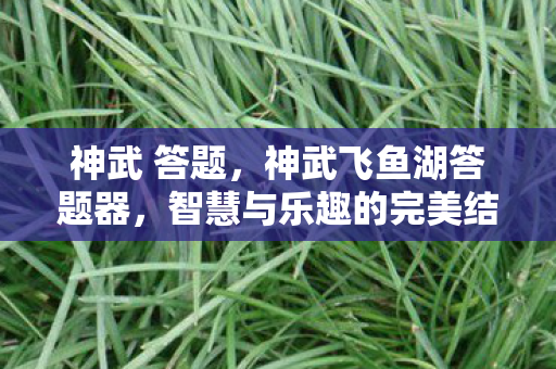 神武 答题,神武飞鱼湖答题器,智慧与乐趣的完美结合 神武 答题,神武飞鱼湖答题器,智慧与乐趣的完美结合