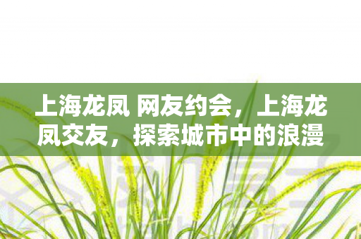 上海龙凤 网友约会，上海龙凤交友，探索城市中的浪漫邂逅