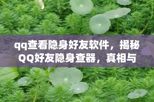 qq查看隐身好友软件,揭秘QQ好友隐身查器,真相与风险解析 qq查看隐身好友软件,揭秘QQ好友隐身查器,真相与风险解析