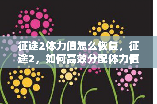 征途2体力值怎么恢复，征途2，如何高效分配体力值