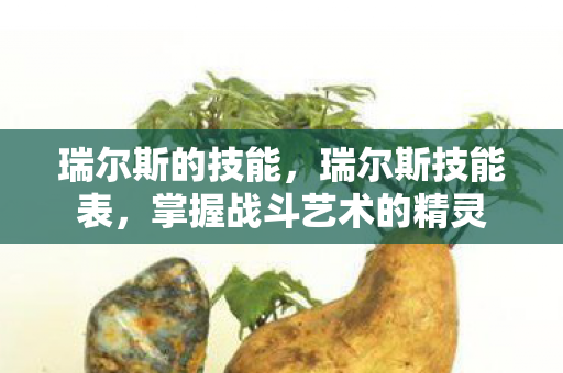 瑞尔斯的技能，瑞尔斯技能表，掌握战斗艺术的精灵