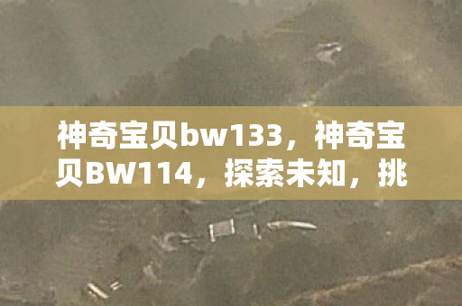 神奇宝贝bw133,神奇宝贝BW114,探索未知,挑战自我 神奇宝贝bw133,神奇宝贝BW114,探索未知,挑战自我
