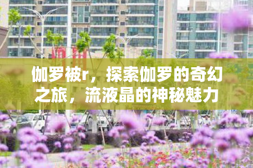 伽罗被r,探索伽罗的奇幻之旅,流液晶的神秘魅力 伽罗被r,探索伽罗的奇幻之旅,流液晶的神秘魅力