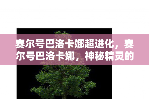 赛尔号巴洛卡娜超进化,赛尔号巴洛卡娜,神秘精灵的传奇故事 赛尔号巴洛卡娜超进化,赛尔号巴洛卡娜,神秘精灵的传奇故事