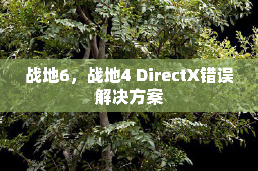 战地6,战地4 DirectX错误解决方案 战地6,战地4 DirectX错误解决方案